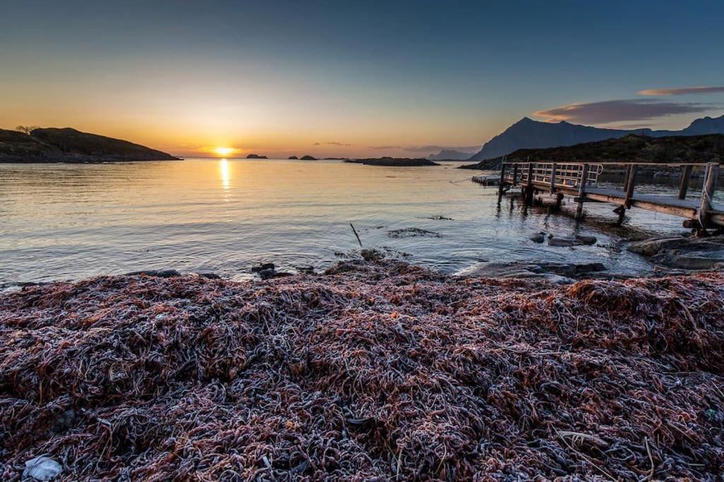 Lofoten - New Apartment, Close To Airport. レクネス エクステリア 写真