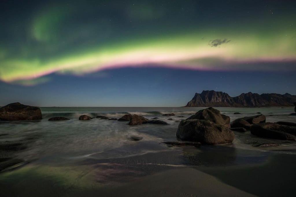 Lofoten - New Apartment, Close To Airport. レクネス エクステリア 写真